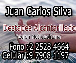 Juan Carlos Silva